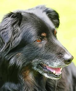 Close Up Black Golden Retriever Diamond Painting