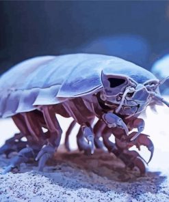 Giant Isopod Diamond Painting