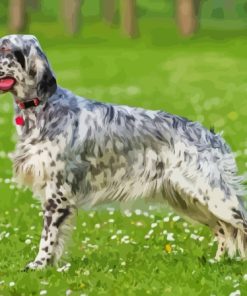 Grey And White English Setter Side View Diamond Painting