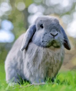 Holland Lop Rabbit Animal Diamond Painting