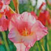 Light Pink Gladiolus Diamond Painting