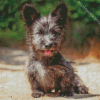 Skye Terrier Puppy Diamond Painting