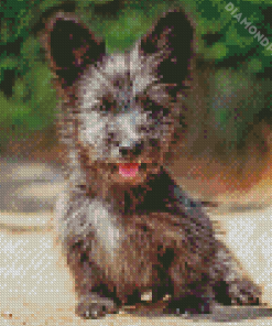 Skye Terrier Puppy Diamond Painting