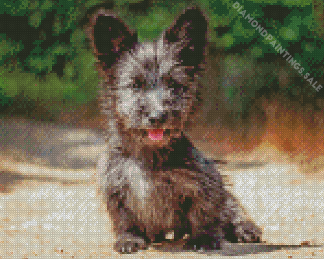 Skye Terrier Puppy Diamond Painting