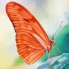 Peach Butterfly Insect Diamond Painting