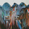 Aberdeen Angus Cows Diamond Painting