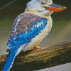 Kookaburra Beautiful Bird Diamond Painting