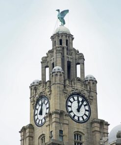 Liver Building Tower Diamond painting