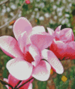 Chinese Magnolia Flower Diamond Painting