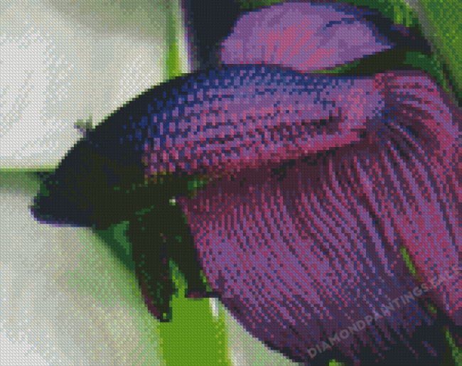 Purple Betta Fish Diamond Painting