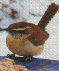 Carolina Wren Diamond Painting