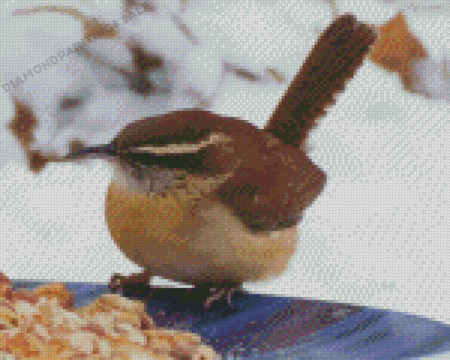 Carolina Wren Diamond Painting