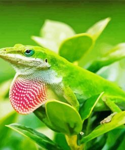 Anole Lizard On Plant Diamond Painting