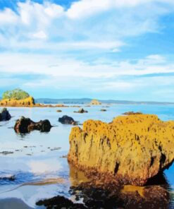 Batemans Bay And Vicinity Diamond Painting