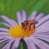 Bee On Purple Flower Diamond Painting