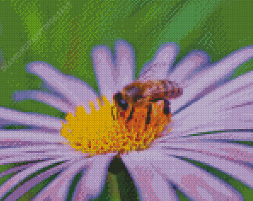 Bee On Purple Flower Diamond Painting