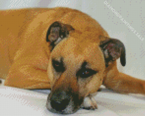 Beige Mountain Cur laying Diamond Painting