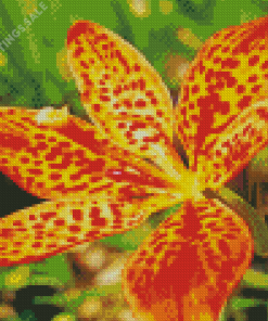 Belamcanda Chinensis Flower Diamond Painting