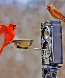 Birds And Camera Diamond Painting