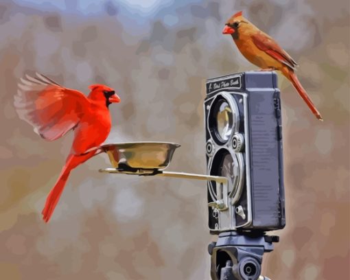 Birds And Camera Diamond Painting