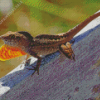 Anole Lizard Reptile Diamond Painting