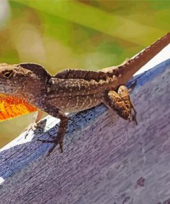 Anole Lizard Reptile Diamond Painting