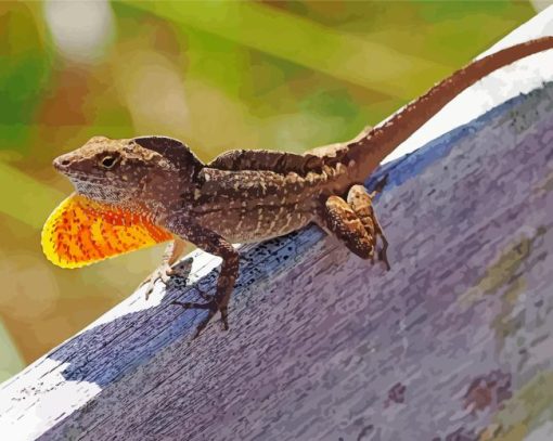 Anole Lizard Reptile Diamond Painting