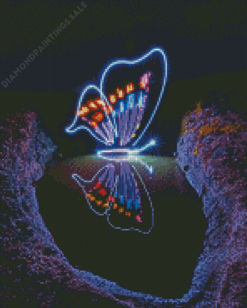 Butterfly Light Reflection Diamond Painting