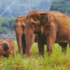 Elephants In Thailand Asia Diamond Painting