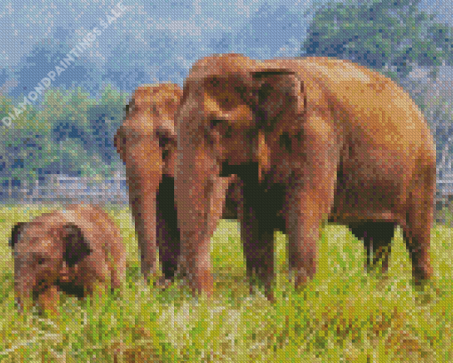 Elephants In Thailand Asia Diamond Painting