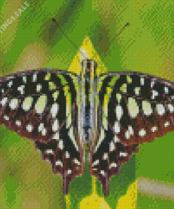 Green Black Butterfly Diamond Painting