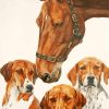 Horse And Hounds Dogs Diamond Painting