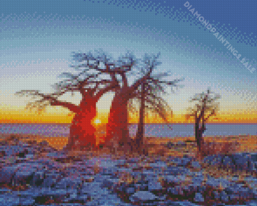 Kalahari Desert At Sunrise Diamond Painting