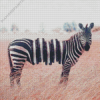 Oreo Zebra Diamond Painting