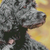 Grey Portuguese Water Dog Diamond Painting