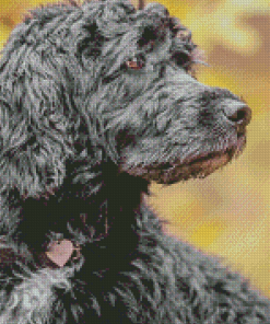 Grey Portuguese Water Dog Diamond Painting