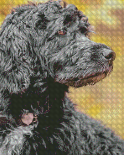 Grey Portuguese Water Dog Diamond Painting