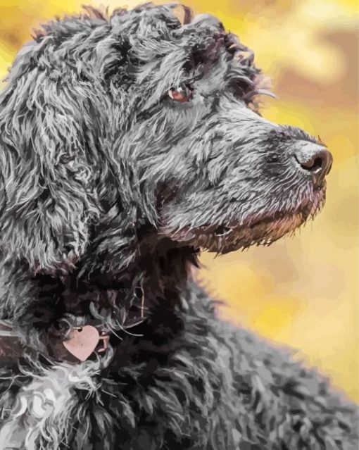 Grey Portuguese Water Dog Diamond Painting