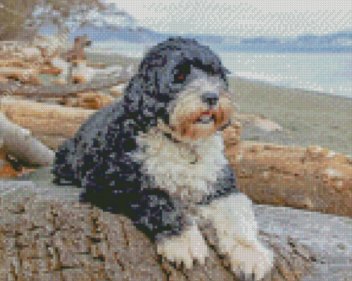 Water Dog Diamond Painting