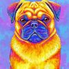 Rainbow Pug Dog Diamond Painting