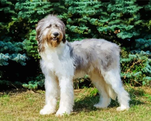 Romanian Shepherd Dog Diamond Painting