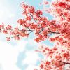 Sakura Tree Over Clouds Diamond Painting