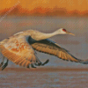 Sandhill Crane Diamond Painting