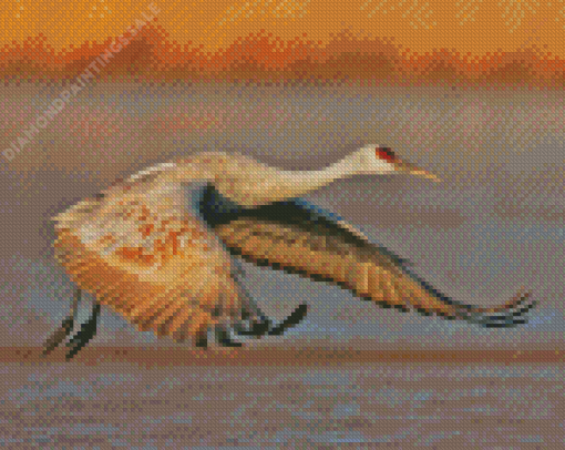 Sandhill Crane Diamond Painting