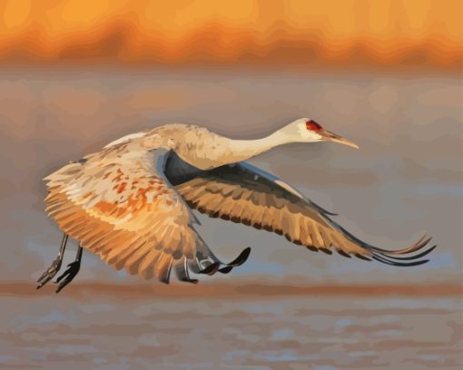 Sandhill Crane Diamond Painting