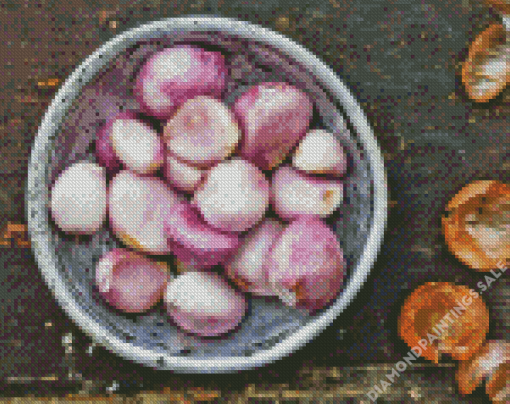 Shallots Boal Diamond Painting