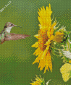 Sunflowers With Hummingbird Diamond Painting
