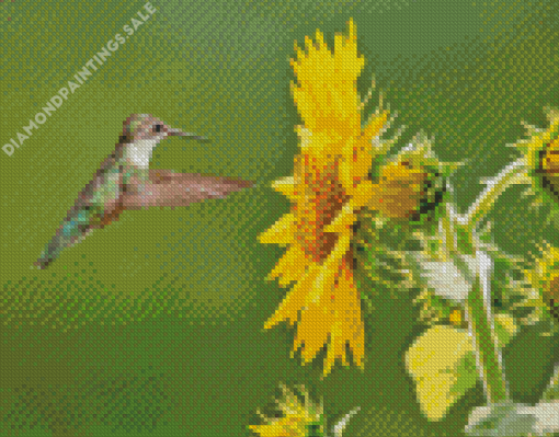 Sunflowers With Hummingbird Diamond Painting