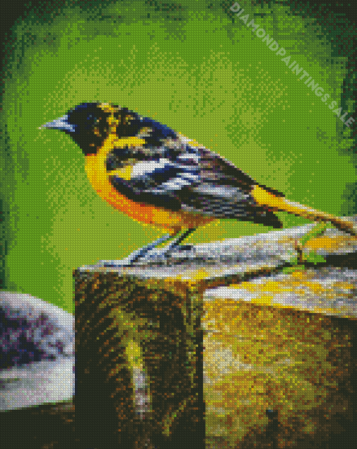 The Baltimore Oriole Diamond Painting