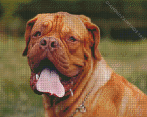 Brown French Mastiff Diamond Painting